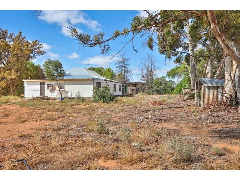 52 McEdward Street, Birdwoodton VIC 3505