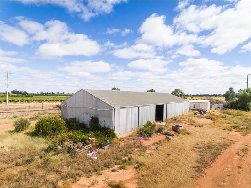 52 McEdward Street, Birdwoodton VIC 3505