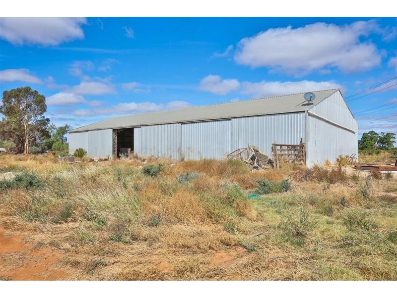 52 McEdward Street, Birdwoodton VIC 3505