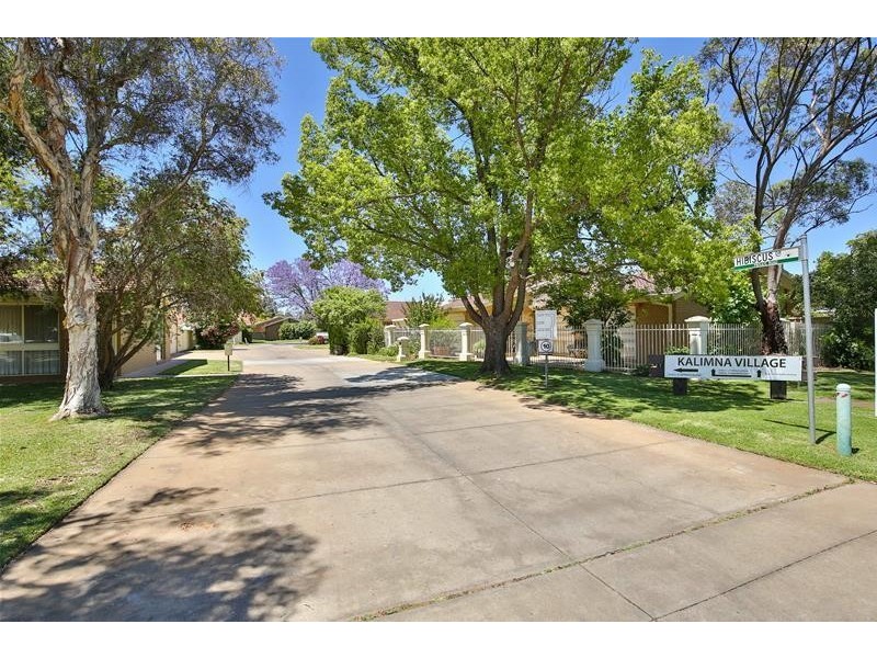 13 Hibiscus Drive, Mildura VIC 3500