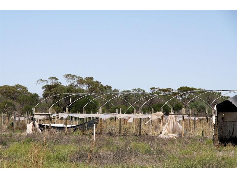 29 Koorlong Avenue Extension, Irymple VIC 3498