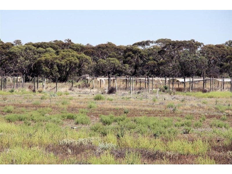 29 Koorlong Avenue Extension, Irymple VIC 3498