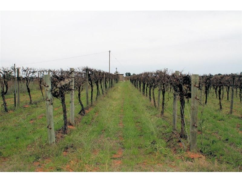 Blk 170/136 Merrijig Avenue, Red Cliffs VIC 3496