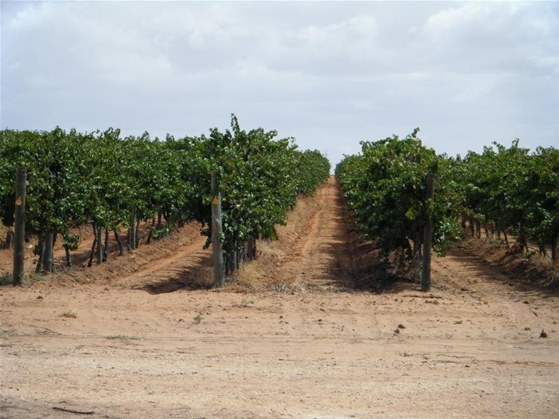 36 Boonoonar Road, Colignan VIC 3494