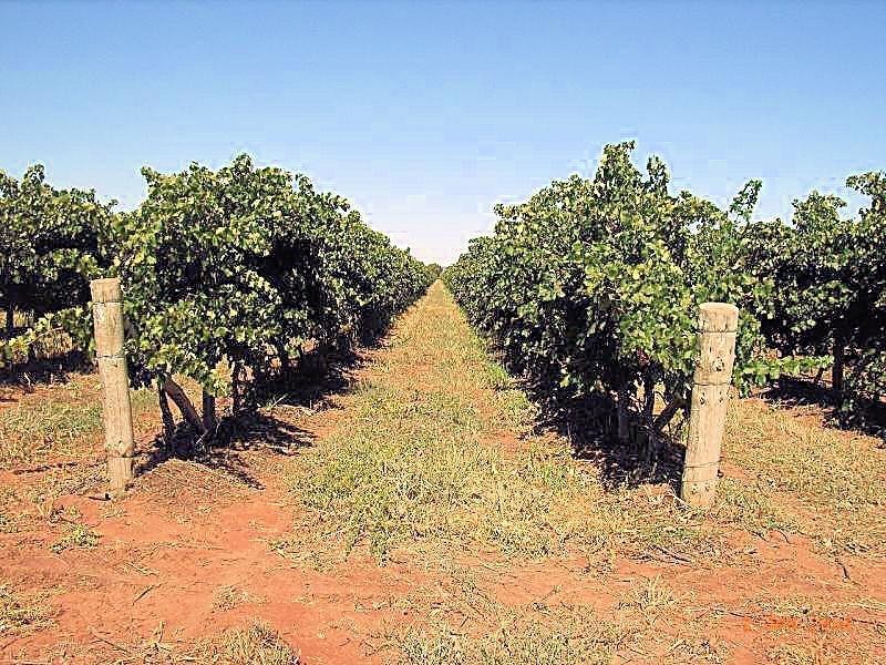 36 Boonoonar Road, Colignan VIC 3494