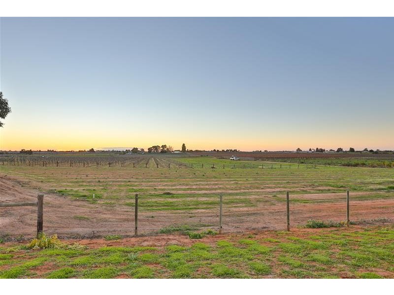 1135 Sandilong Avenue, Irymple VIC 3498