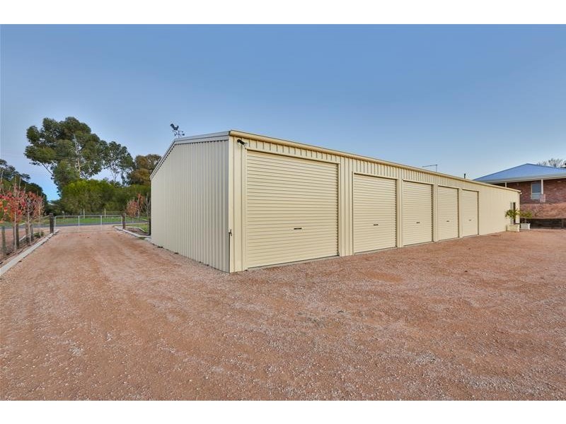 1135 Sandilong Avenue, Irymple VIC 3498