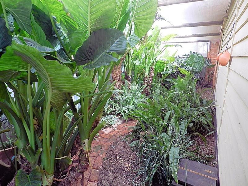 90 Ontario Avenue, Mildura VIC 3500