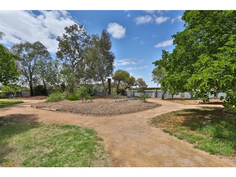 149 Boobook Avenue, Red Cliffs VIC 3496