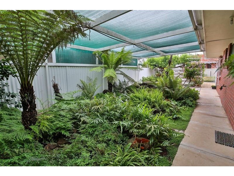 310 Walnut Avenue, Mildura VIC 3500