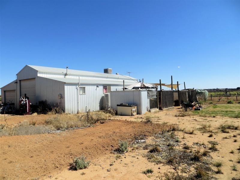 539 River Avenue, Birdwoodton VIC 3505