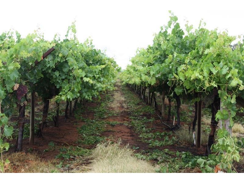 Blk 699 & 698B Boomerang Avenue, Cardross VIC 3496