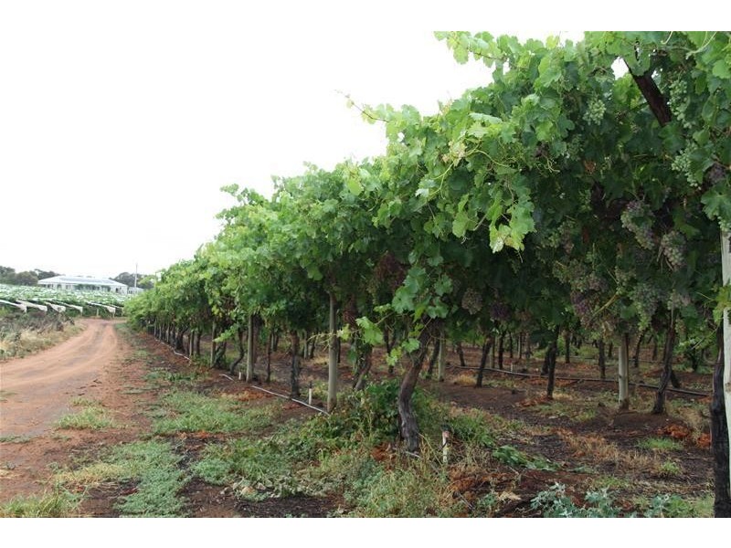 Blk 699 & 698B Boomerang Avenue, Cardross VIC 3496