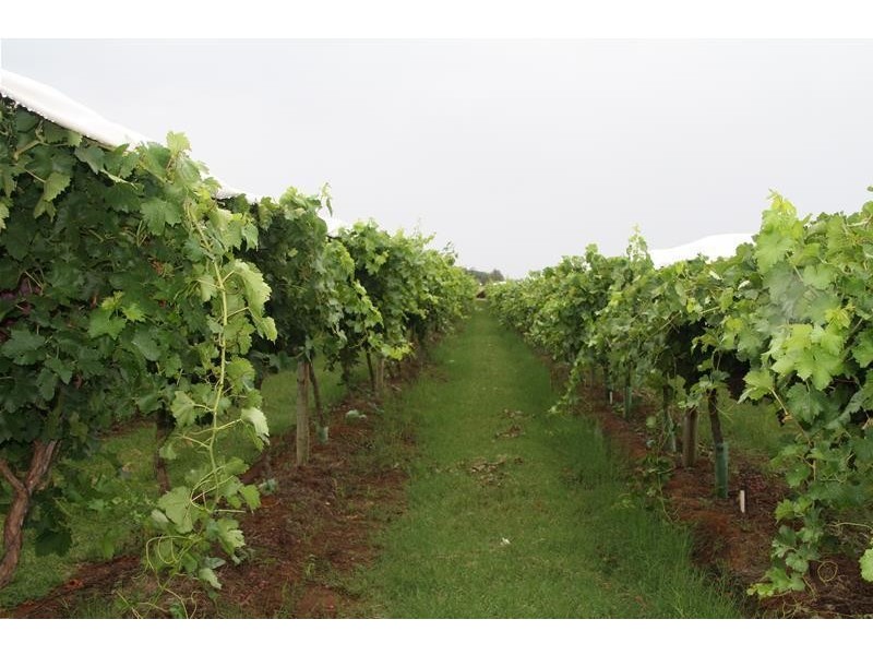 Blk 699 & 698B Boomerang Avenue, Cardross VIC 3496