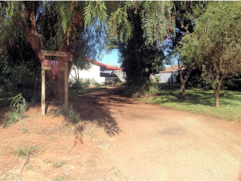 171 Ash Avenue, Merbein South VIC 3505