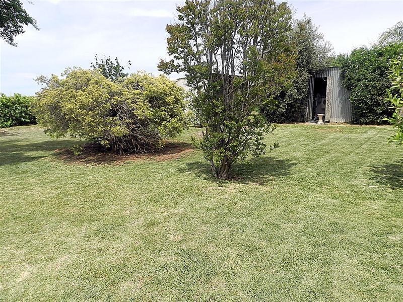 171 Ash Avenue, Merbein South VIC 3505