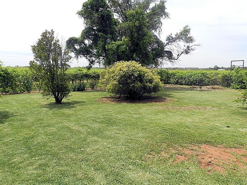 171 Ash Avenue, Merbein South VIC 3505