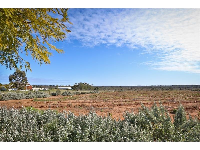 33 Chaffey Street, Merbein VIC 3505