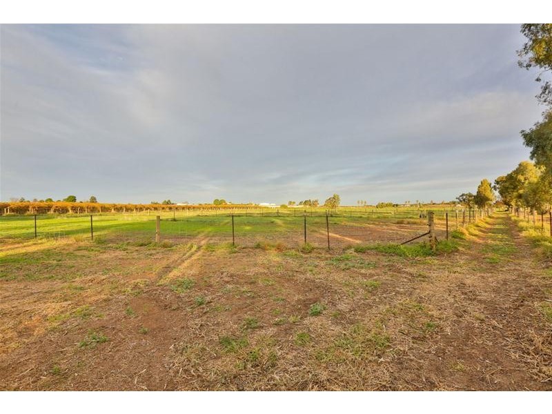 417 Morpung Avenue, Irymple VIC 3498