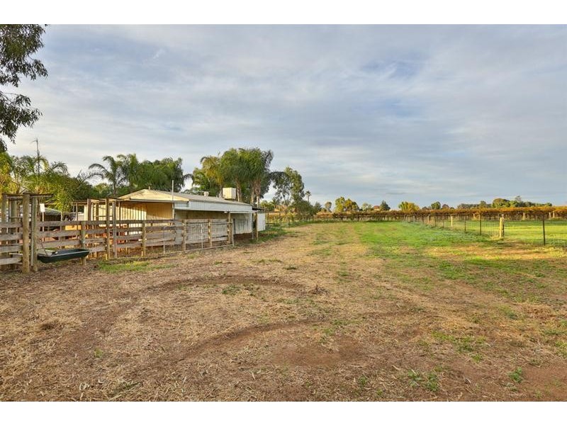 417 Morpung Avenue, Irymple VIC 3498