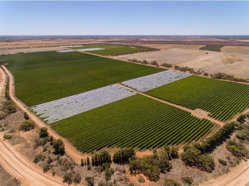 2756 Tapalin Mail Road, Euston NSW 2737