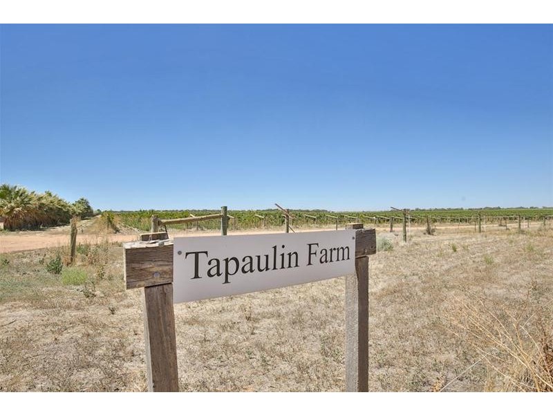 2756 Tapalin Mail Road, Euston NSW 2737