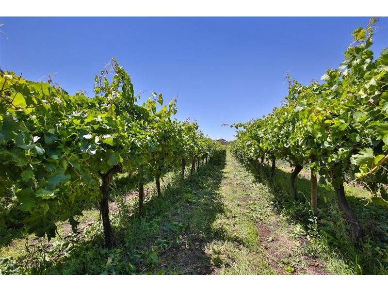 2756 Tapalin Mail Road, Euston NSW 2737