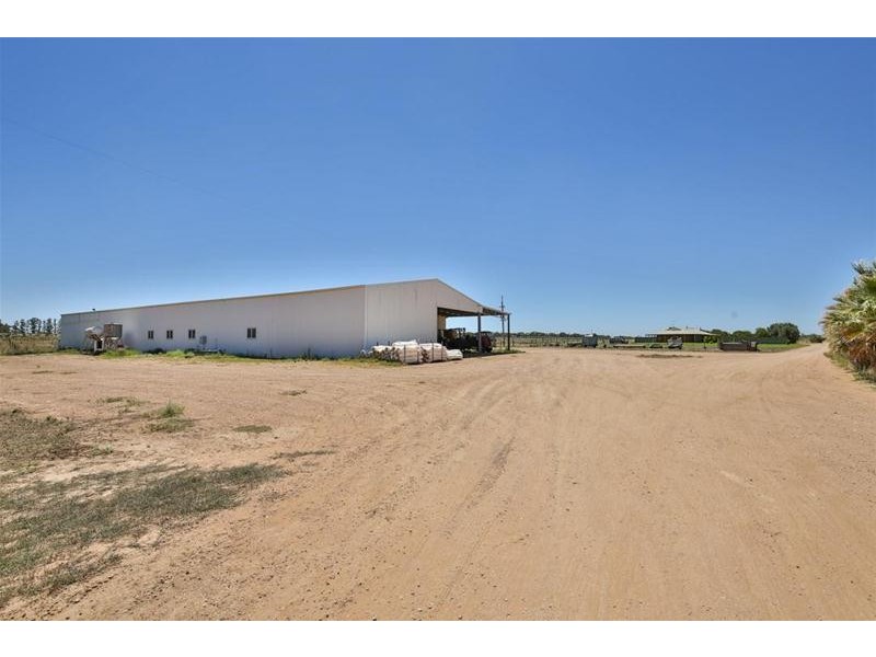 2756 Tapalin Mail Road, Euston NSW 2737