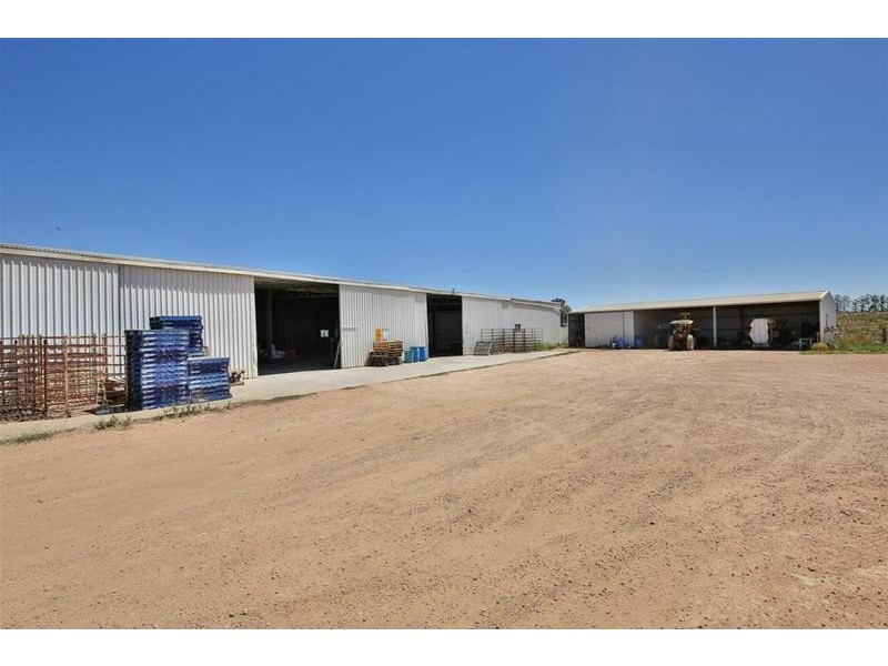 2756 Tapalin Mail Road, Euston NSW 2737