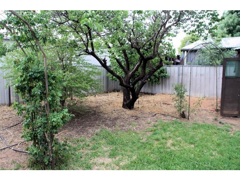 16 Avocado Street, Mildura VIC 3500