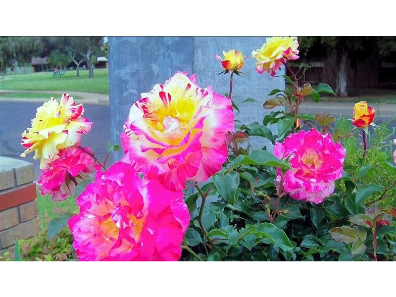 2a Kalimna Drive, Mildura VIC 3500