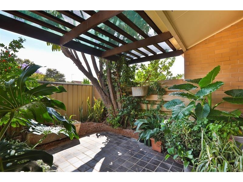 19 Hibiscus Drive, Mildura VIC 3500