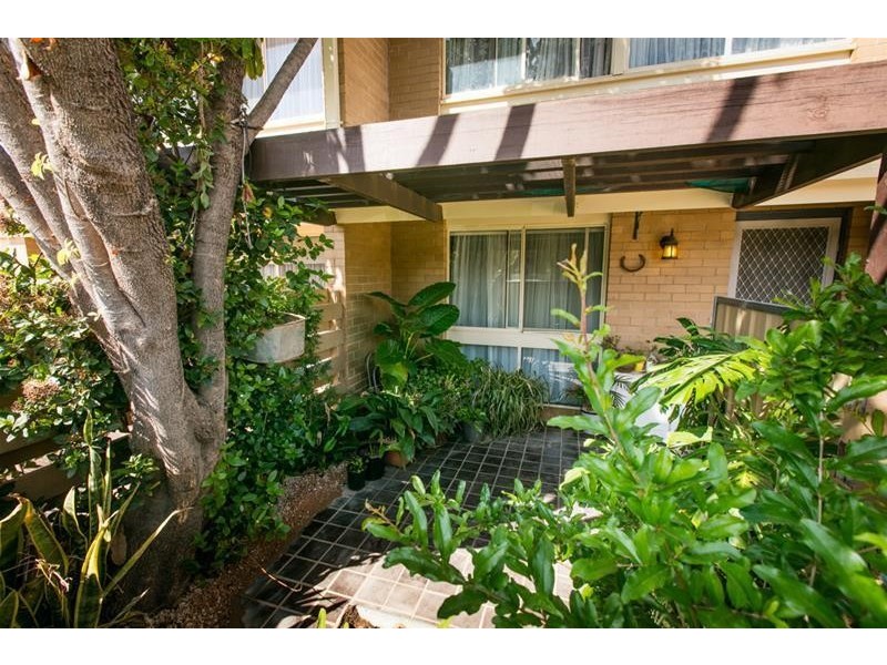 19 Hibiscus Drive, Mildura VIC 3500