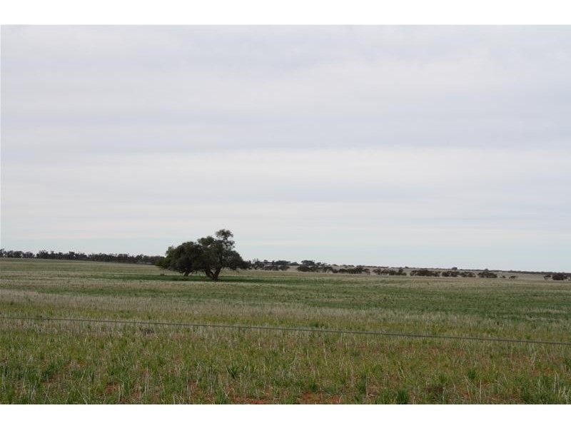 CA/47 Cnr Merrinee North Rd & Kelly Road, Merbein South VIC 3505