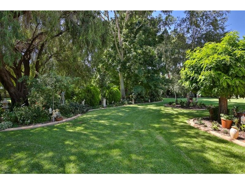 87 Bernarra Road, Dareton NSW 2717