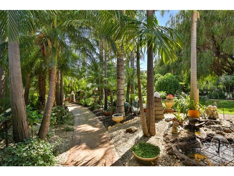 87 Bernarra Road, Dareton NSW 2717