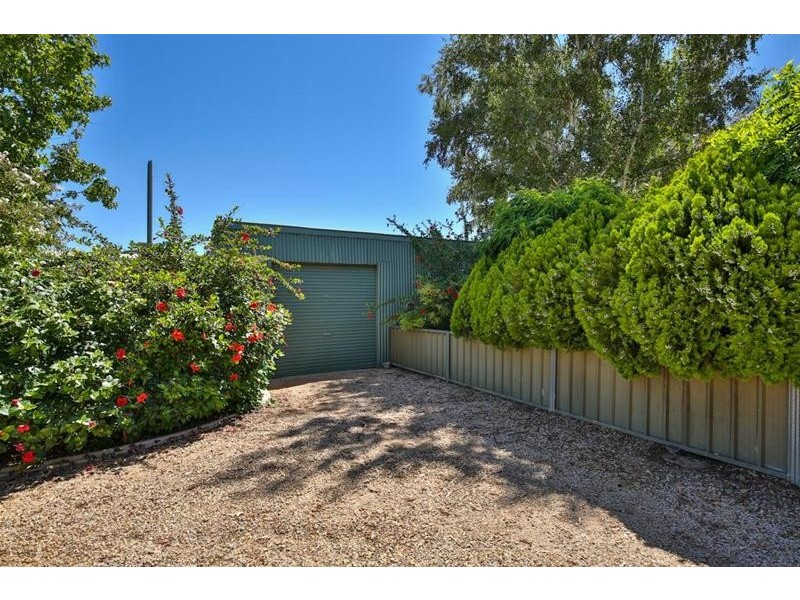 87 Bernarra Road, Dareton NSW 2717