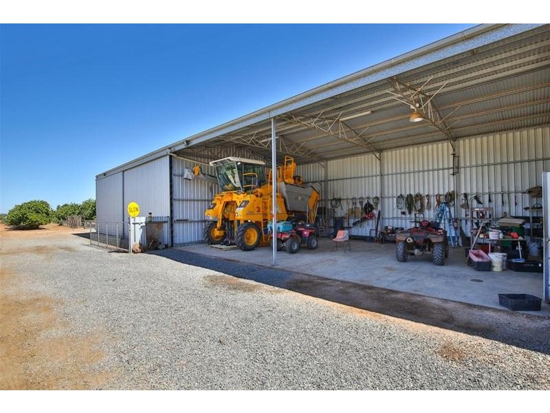 87 Bernarra Road, Dareton NSW 2717