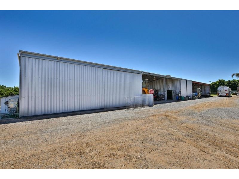 87 Bernarra Road, Dareton NSW 2717