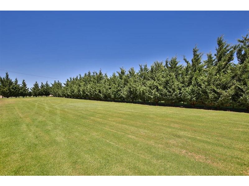 87 Bernarra Road, Dareton NSW 2717