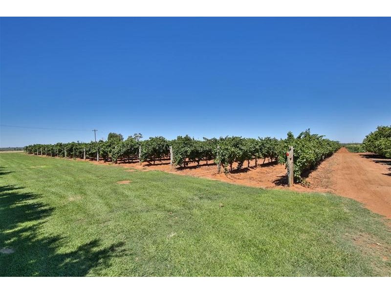 87 Bernarra Road, Dareton NSW 2717