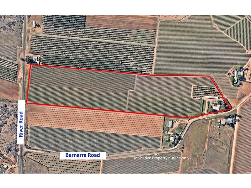 87 Bernarra Road, Dareton NSW 2717