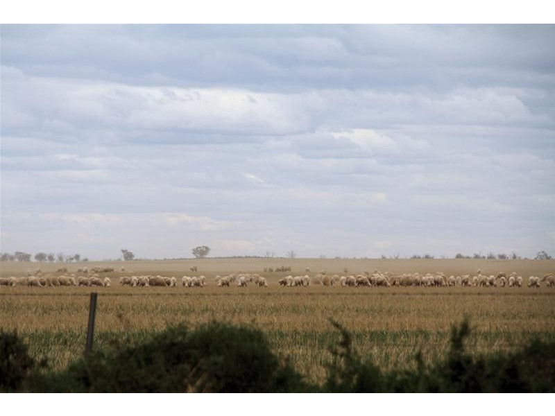 Lots 43 & 44 Eastmond Road, Merrinee VIC 3496