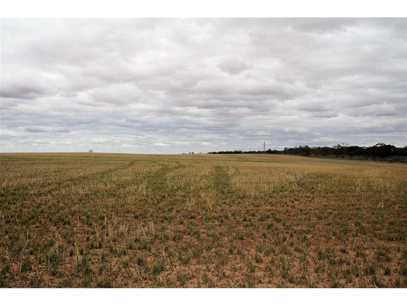 Lots 43 & 44 Eastmond Road, Merrinee VIC 3496