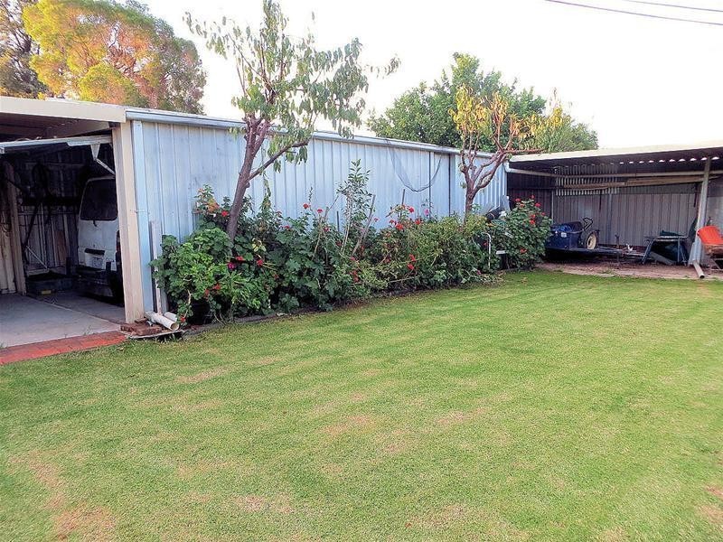 26 Avocado Street, Mildura VIC 3500