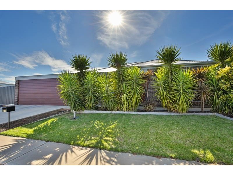 19 Anne Cox Drive, Red Cliffs VIC 3496