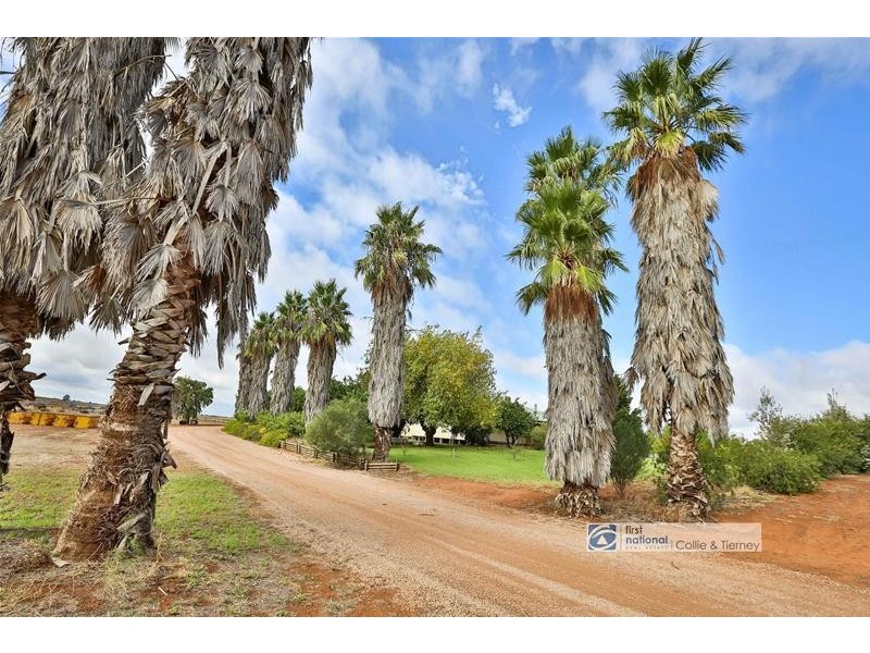 955 Kulkyne Way, Nangiloc VIC 3494