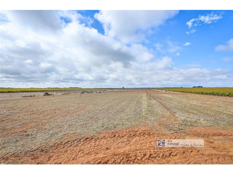 955 Kulkyne Way, Nangiloc VIC 3494