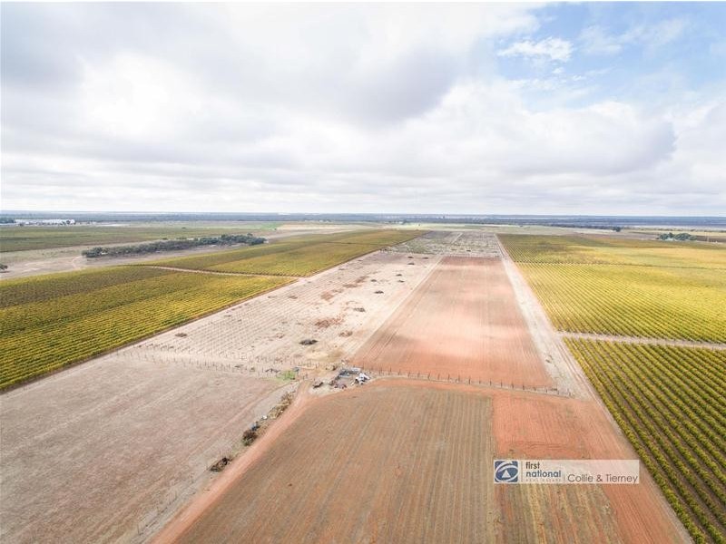 955 Kulkyne Way, Nangiloc VIC 3494