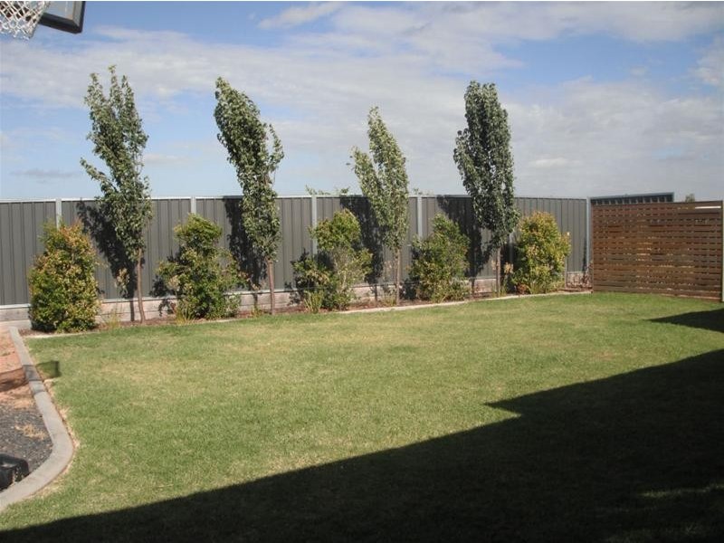 19 Anne Cox Drive, Red Cliffs VIC 3496